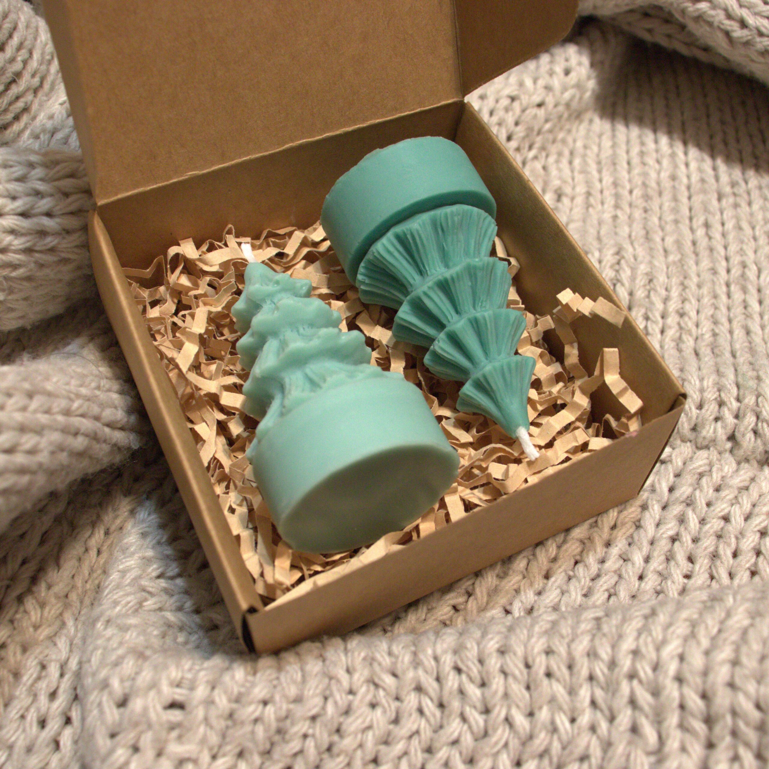 mini talpas Zöldfenyő - Image 2